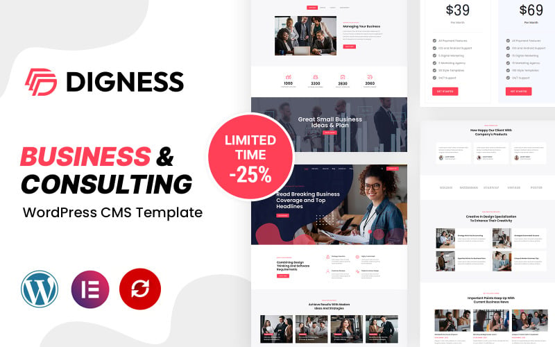 Digness - Consulting Business WordPress Theme