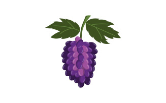 Grape bunches Fruit and leaves logo template
