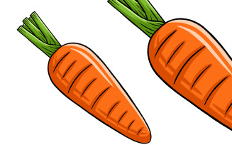 Carrot Vector Illustration