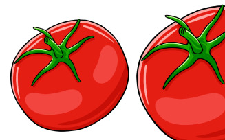 Tomato Vector Illustration