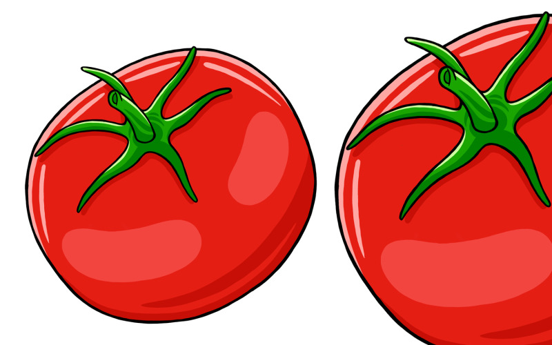 Tomato Vector Illustration Vector Graphic