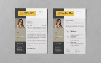 Resume/CV PSD Design Templates Vol 141