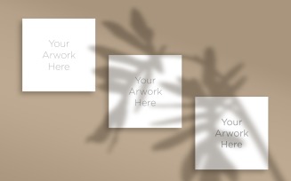 3 Square Paper's With Leaf Shadow Mockup