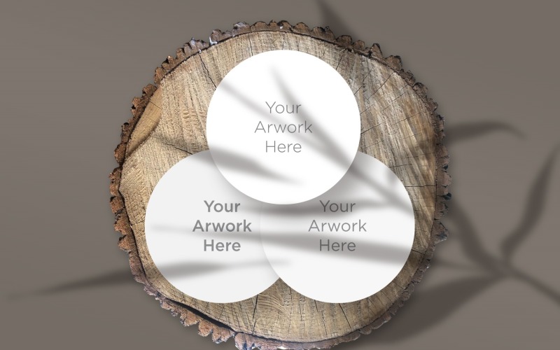 Three Circle Paper's Mockup With Leaf Shadow Product Mockup