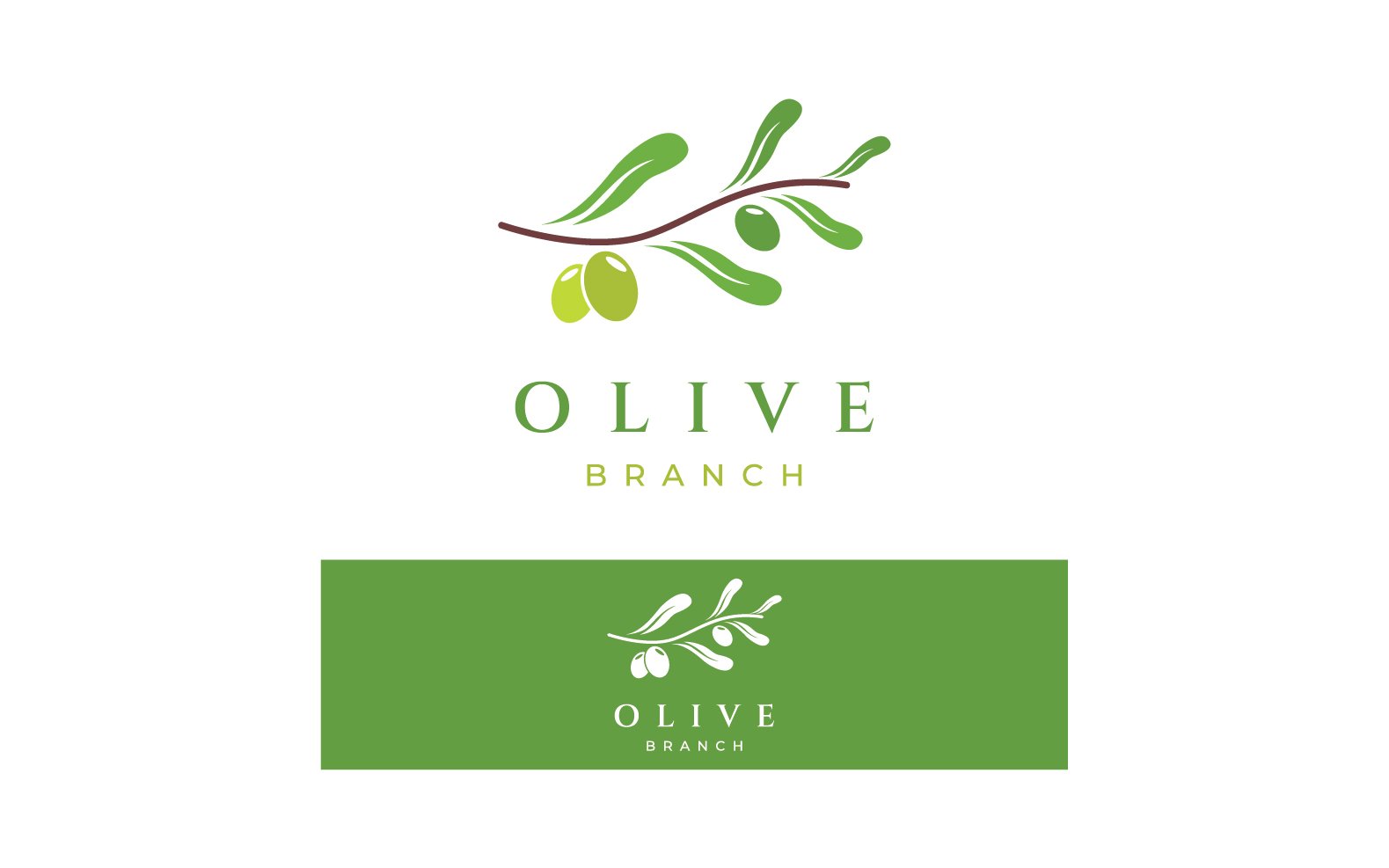 Kit Graphique #307965 Logo Olive Divers Modles Web - Logo template Preview