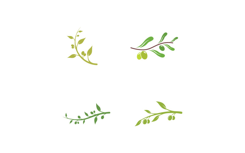 Olive oil tree logo vector 16 Logo Template