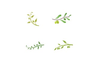 Olive oil tree logo vector 16
