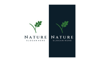 Oak leaf nature logo vector 16