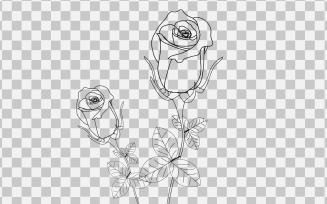 Line art rose realistic rose bouquet with red flower vector illustrator