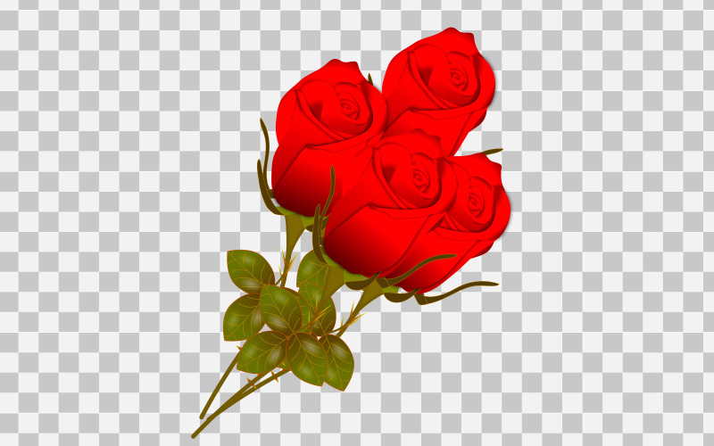 Red rose realistic rose bouquet Illustration