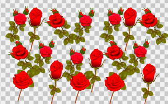 Rose realistic rose leaf and bud with red flowers vector idea