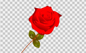 vector rose realistic rose leaf and bud with red flower idea