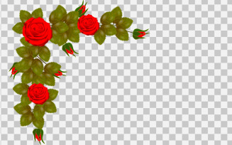 vector rose realistic rose leaf and bud with red flower iluustration
