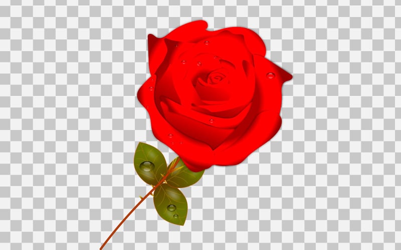 vector singel red rose realistic rose bouquet with red flower concept Illustration