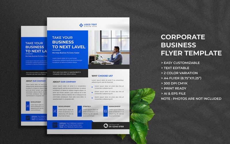 Digital Marketing Agency Flyer Template Design and Business Flyer Layout Corporate Identity