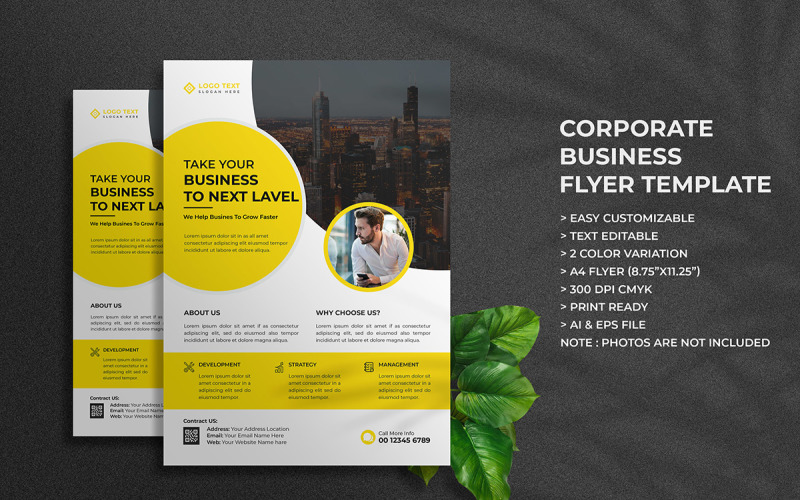 Digital Marketing Agency Flyer Template Design and Business Flyer Template Corporate Identity