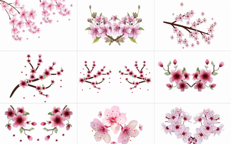 Hand Painted Sakura Cherry Blossom. Watercolor Japanese Cherry Blossom Branch Background Illustration