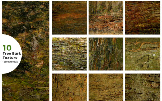 Realistic tree bark texture background and Timber texture background. Grunge texture
