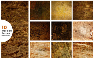 Tree Bark Texture Background Set. Texture of Palm Tree Trunk