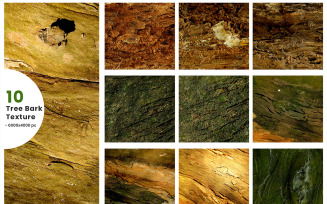 Tree brak texture background concept and Palm tree trunk texture. Grunge texture