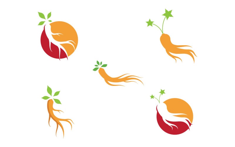 Ginseng Vector illustration. Ginseng root logo symbol V6 Logo Template