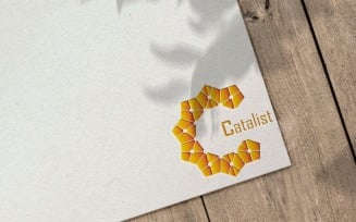 Catalist C Letter Logo Template