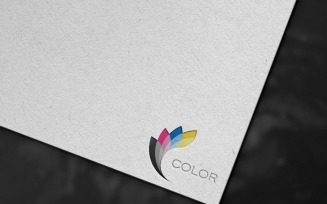 Digital Color Logo Template