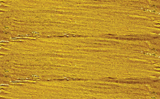 Abstract shiny gold texture background