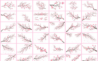 Cherry blossom flower branch collection
