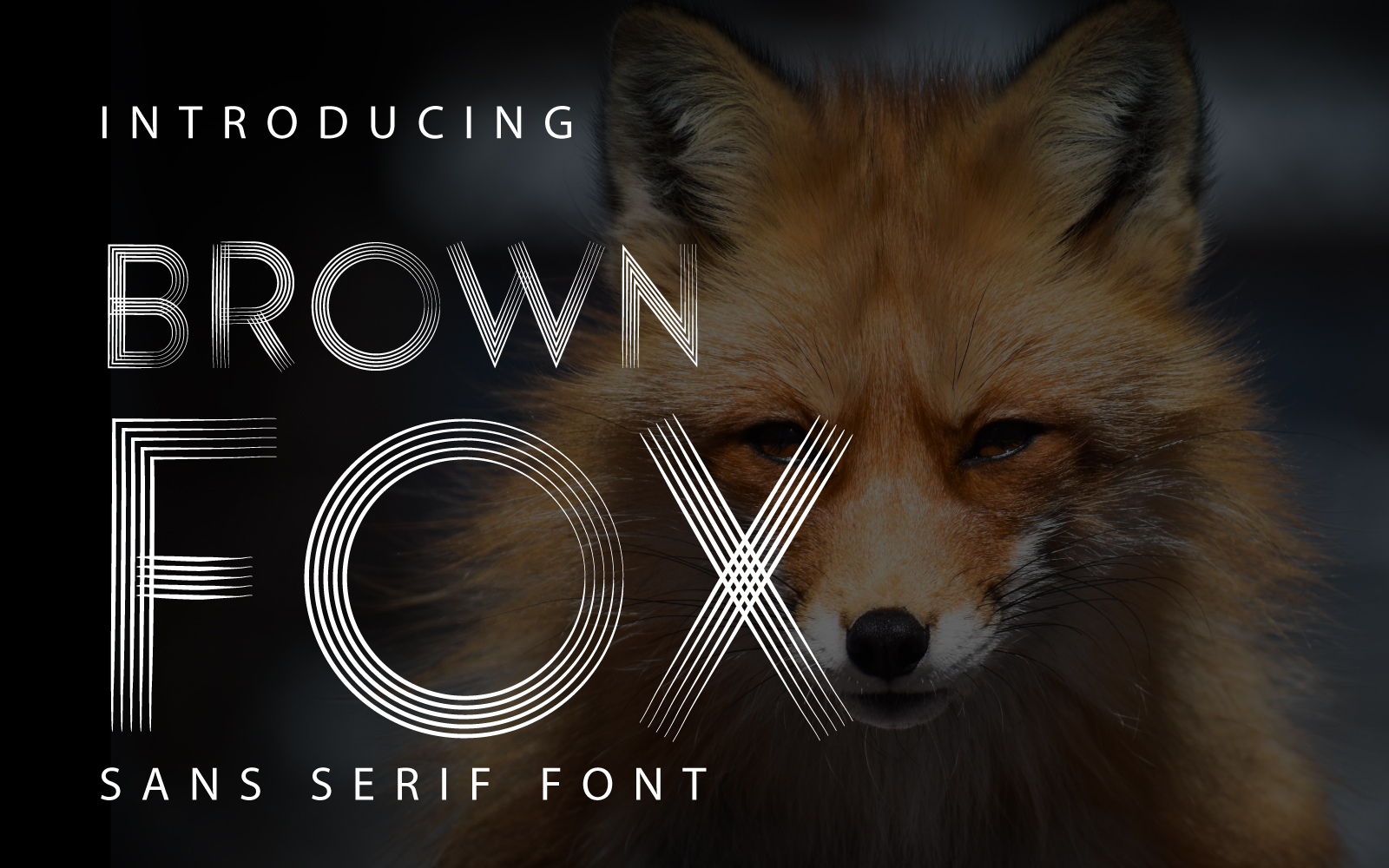 Template #312210 Fonts Sans Webdesign Template - Logo template Preview