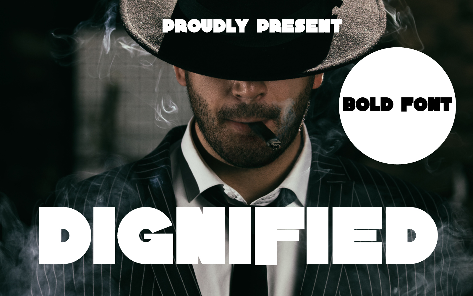 Template #312418 Fonts Display Webdesign Template - Logo template Preview