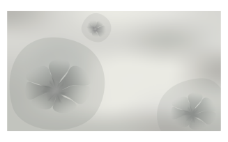 Background Image in Grey Color Scheme with Flower in Bubble