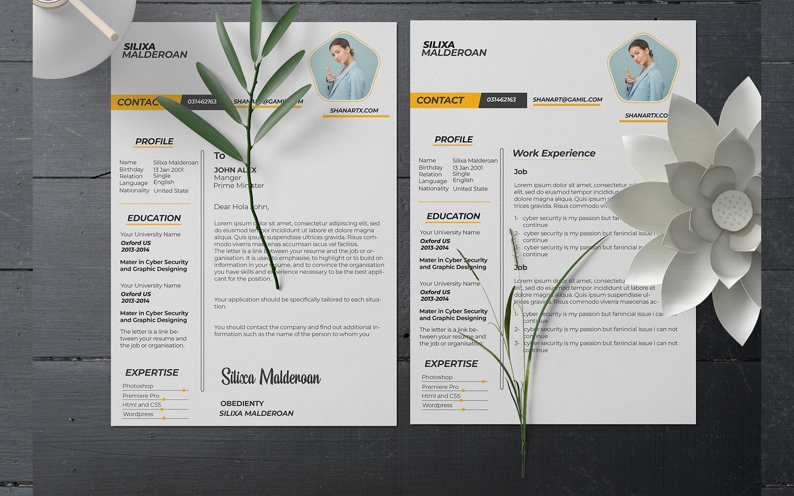 Template #313359 Clean Resume Webdesign Template - Logo template Preview