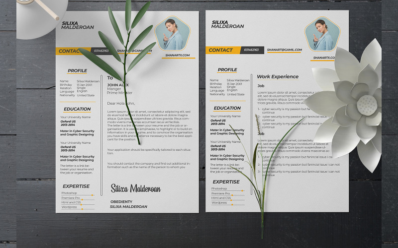 Resume CV Professional and Unique Resume and CV UX and UI design Resume Template