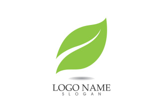 Green eco leaf nature fresh logo vector v12