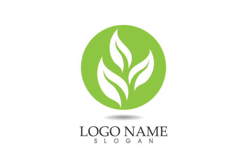 Green eco leaf nature fresh logo vector v19 Logo Template