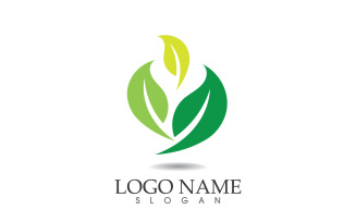 Green eco leaf nature fresh logo vector v4