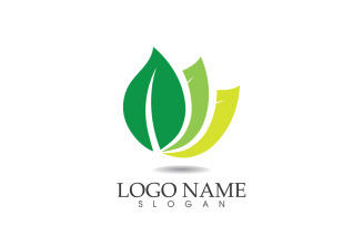 Green eco leaf nature fresh logo vector v5