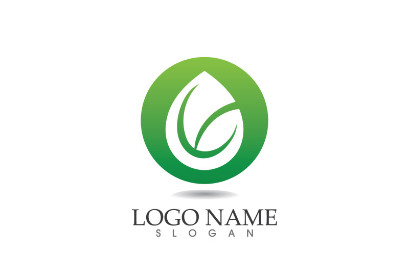 Water drop nature logo and symbol vector icon v38 Logo Template