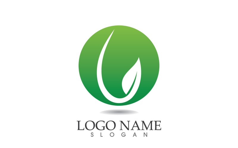 Water drop nature logo and symbol vector icon v47 Logo Template