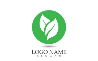 Green eco leaf nature fresh logo vector v34