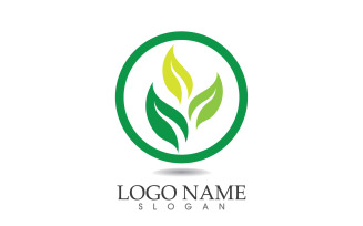 Green eco leaf nature fresh logo vector v35