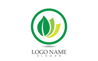 Green eco leaf nature fresh logo vector v37