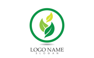 Green eco leaf nature fresh logo vector v38