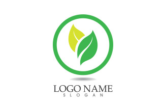 Green eco leaf nature fresh logo vector v41