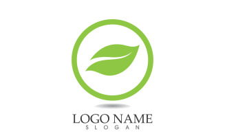 Green eco leaf nature fresh logo vector v44