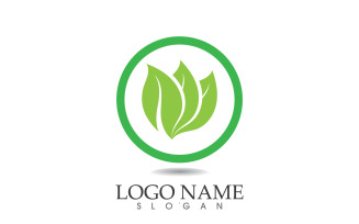 Green eco leaf nature fresh logo vector v49