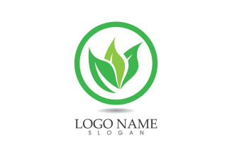 Green eco leaf nature fresh logo vector v50