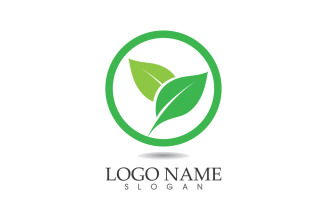 Green eco leaf nature fresh logo vector v51