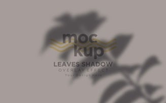 Leaves Shadow Mockup Overlay Effect